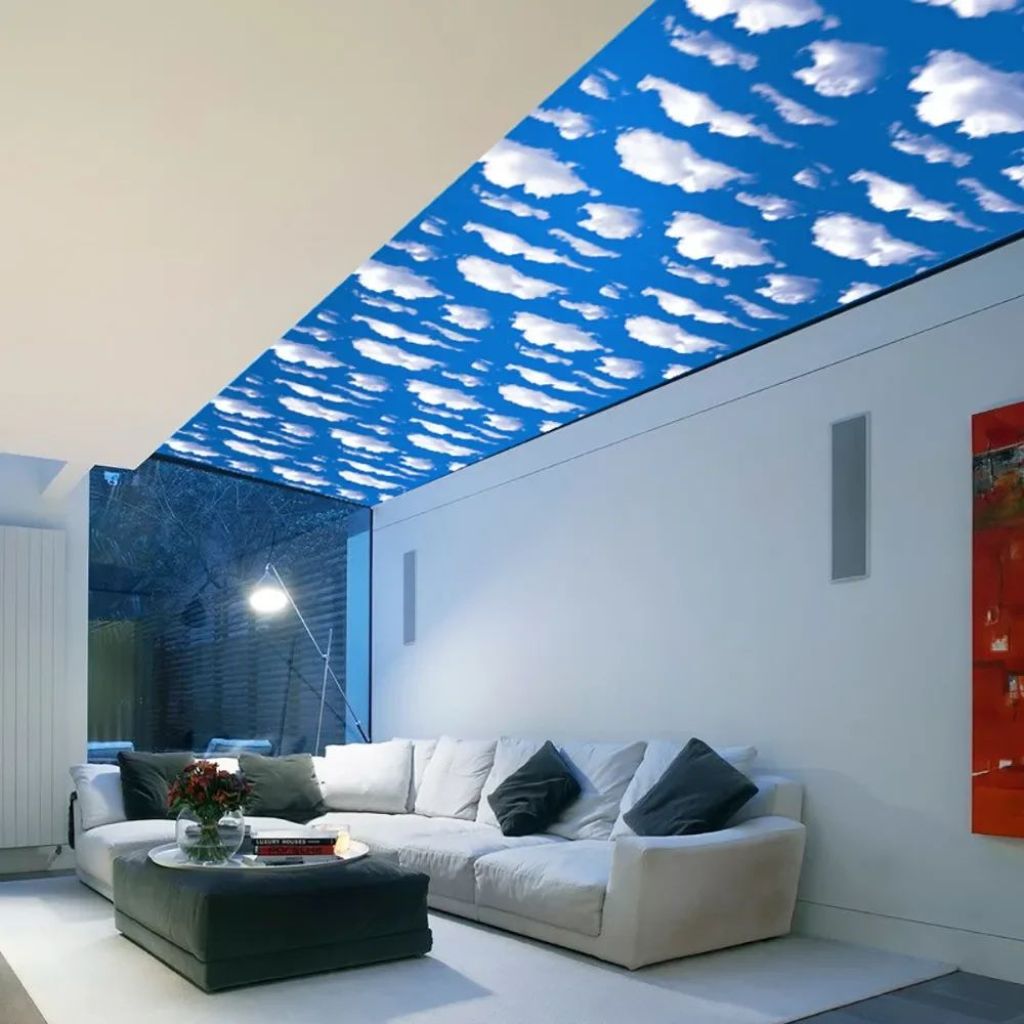 Wall & Ceiling Painting